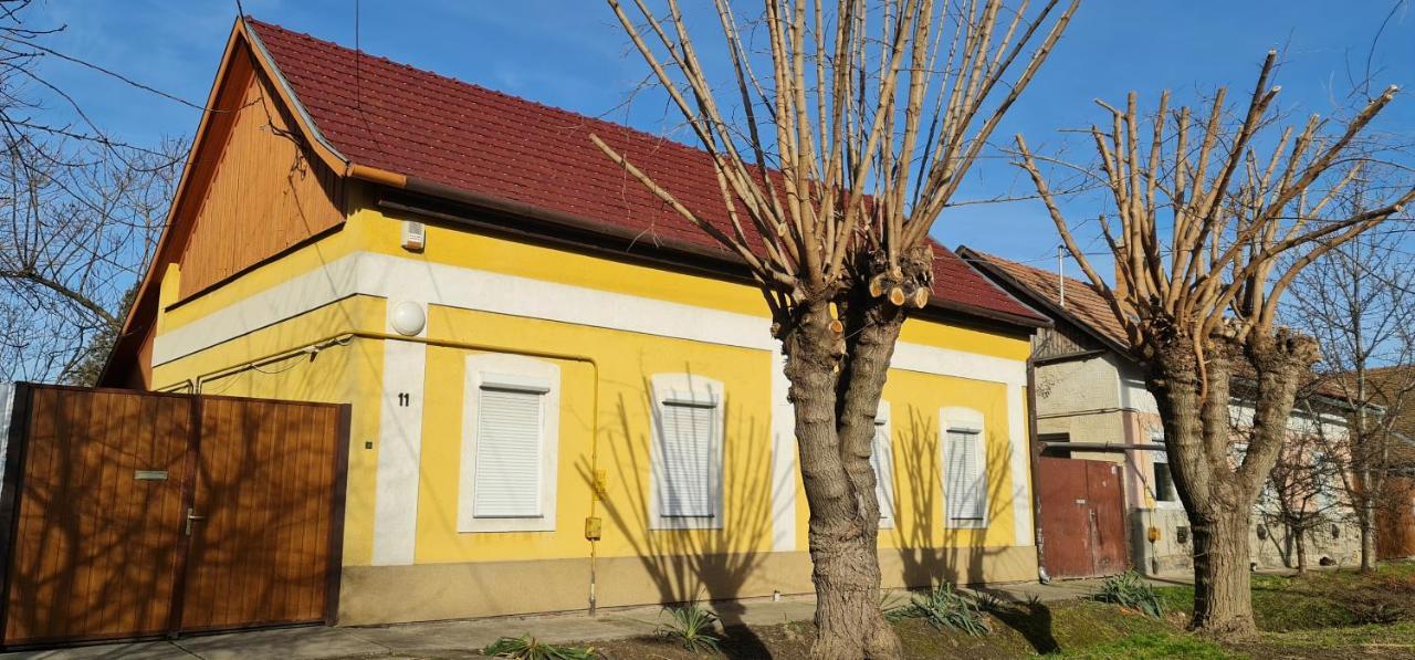 Koelcsey Vendeghaz Apartment Hódmezővásárhely Екстериор снимка