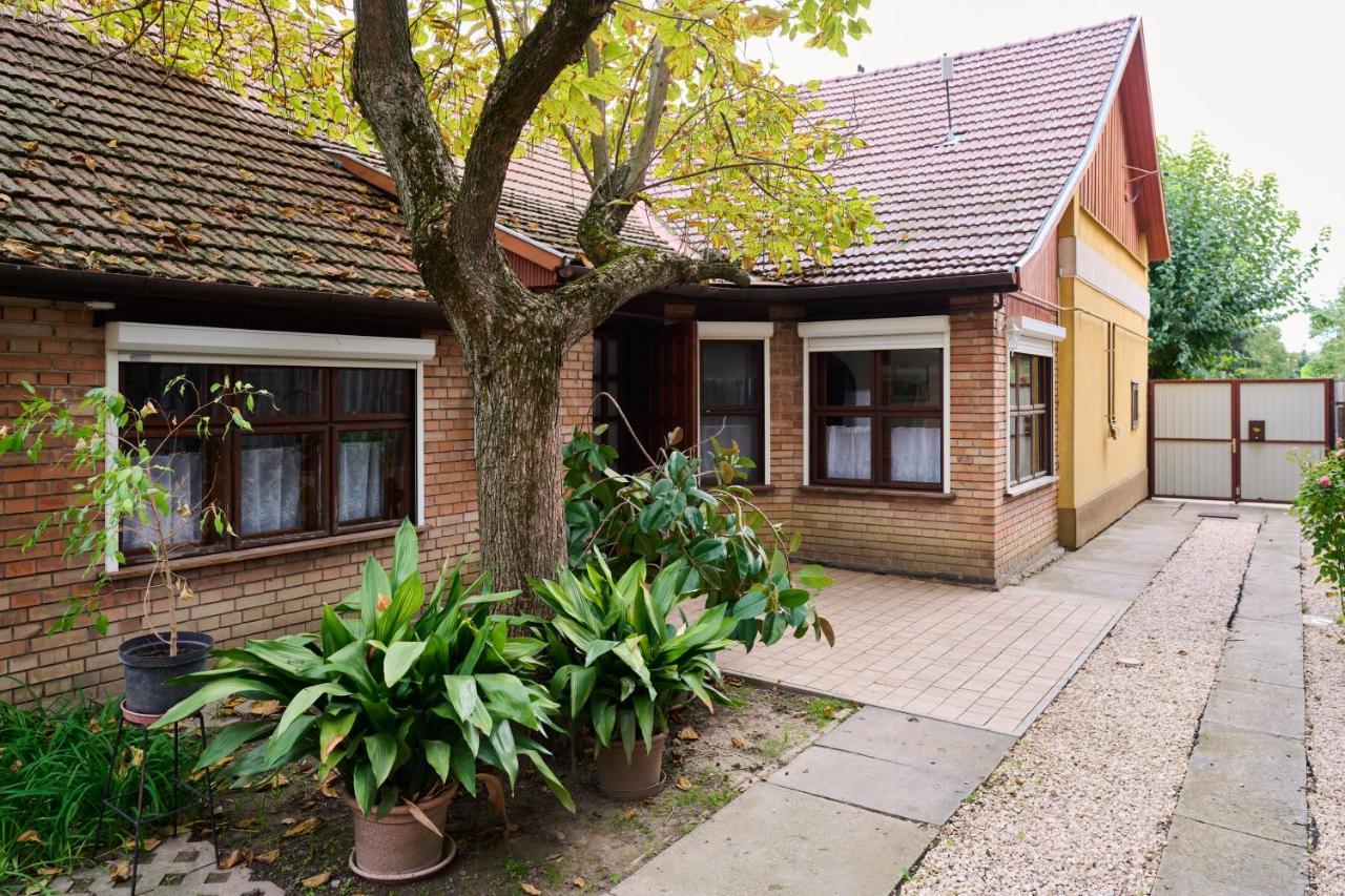 Koelcsey Vendeghaz Apartment Hódmezővásárhely Екстериор снимка